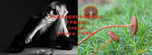 ПСИЛОЦИБИНОВЫЕ ГРИБЫ Абаза