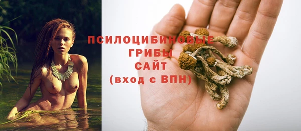 ПСИЛОЦИБИНОВЫЕ ГРИБЫ Абаза