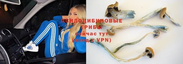 марихуана Абинск