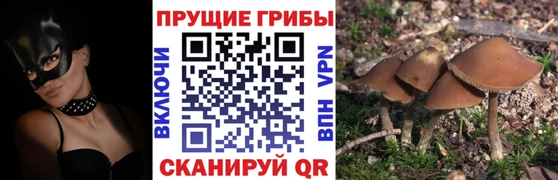 Галлюциногенные грибы MAGIC MUSHROOMS  Чехов 